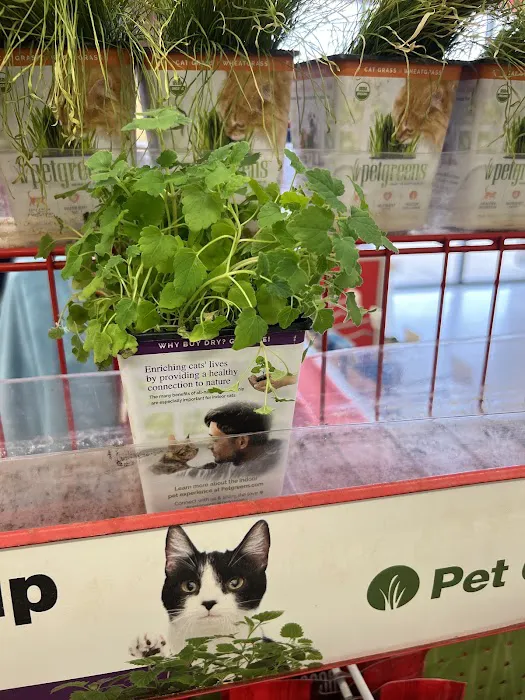 Petco Picture 1