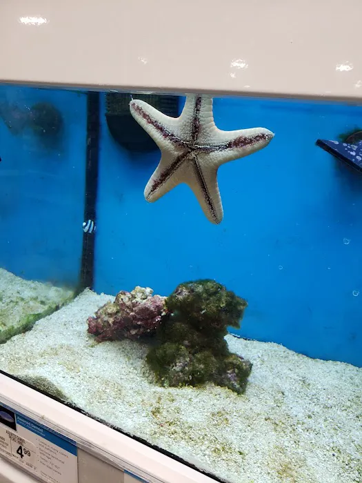 Petco Picture 9