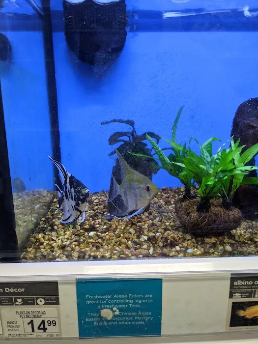 Petco Picture 5
