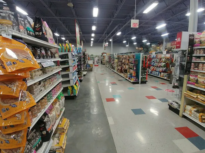 Petco Picture 6
