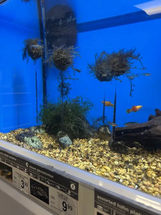 Petco Picture 3