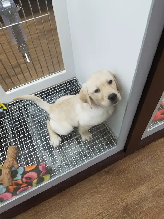 Petland Batavia Picture 6