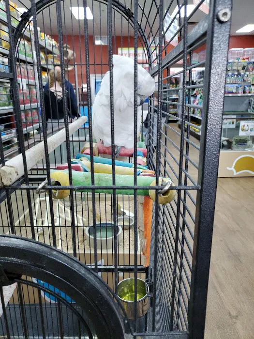 Petland Batavia Picture 5