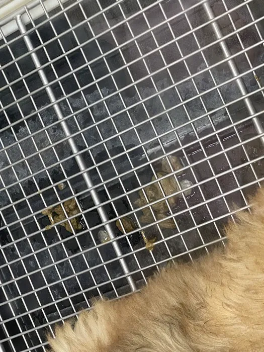 Petland Batavia Picture 10