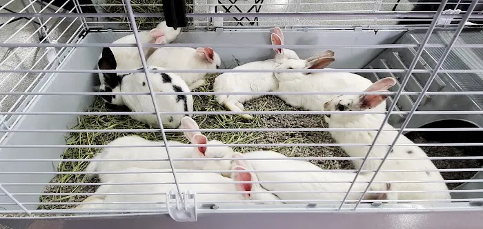 Scott Smith's All Animal Expo Picture 2