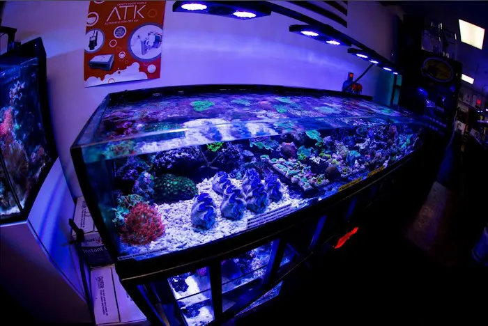 Reef Plus Picture 10