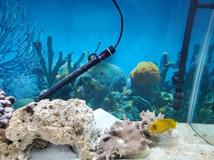 Reef Plus Picture 7