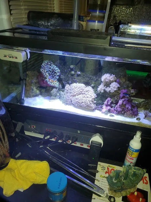 Reef Plus Picture 3