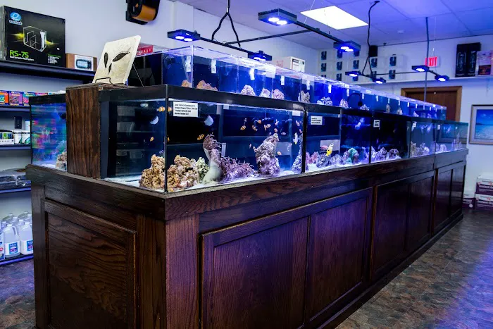 Reef Plus Picture 1
