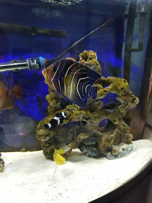 Reef Plus Picture 6