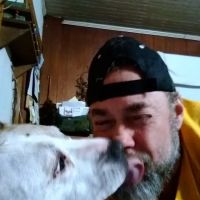 Hoof 'n' Paw Veterinary Services ico