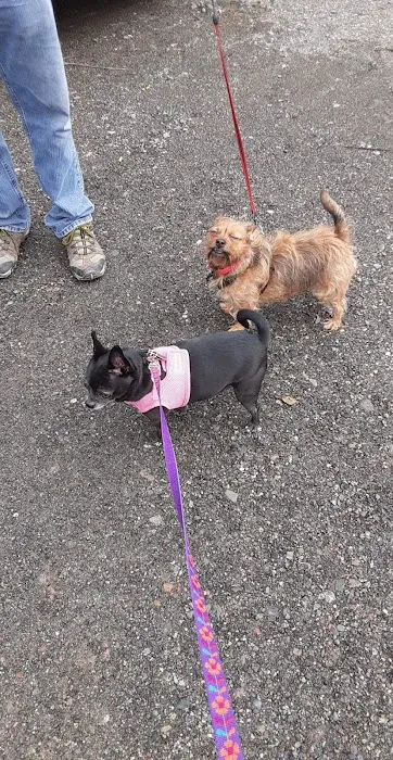 Hoof 'n' Paw Veterinary Services Picture 3