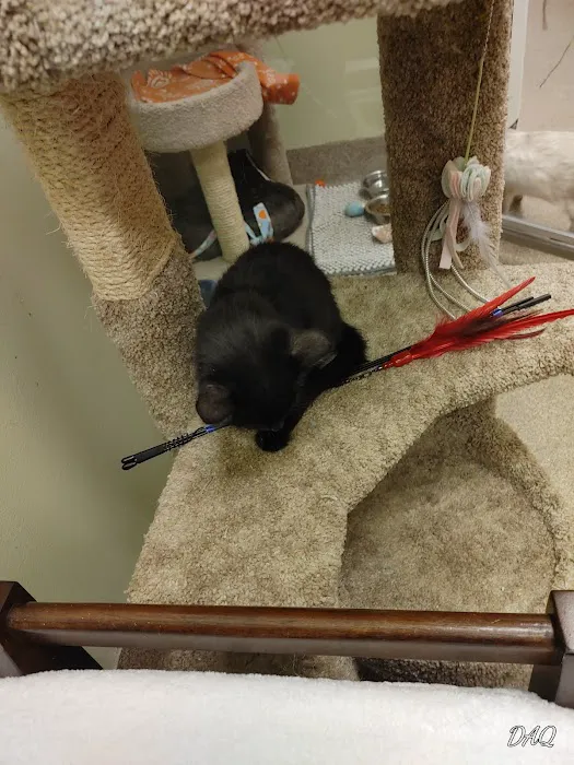 Pet Supplies Plus North Aurora Picture 7