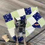The Puppy Emporium
