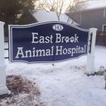 East Brook Animal Hospital