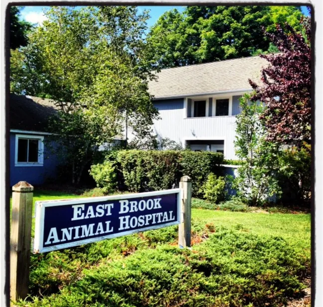 East Brook Animal Hospital Picture 9