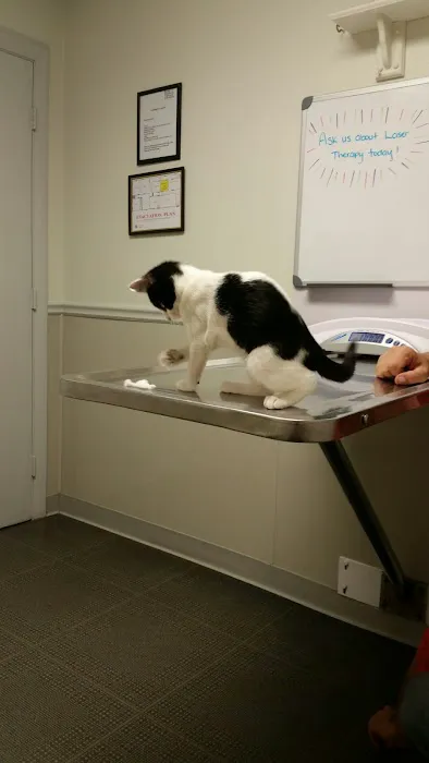 North Windham Animal Hospital Picture 5