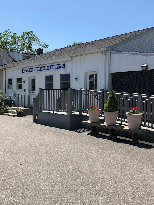 North Windham Animal Hospital Picture 6