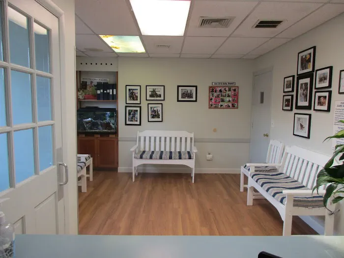 North Windham Animal Hospital Picture 7