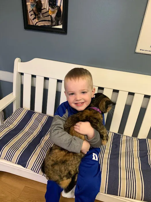 North Windham Animal Hospital Picture 10