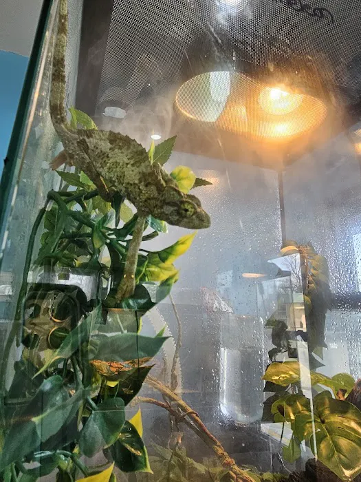 Fish and Friends Pets Picture 7