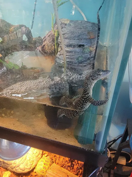 Fish and Friends Pets Picture 6