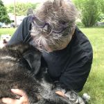 Green Valley Veterinary Services