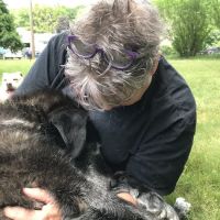 Green Valley Veterinary Services ico