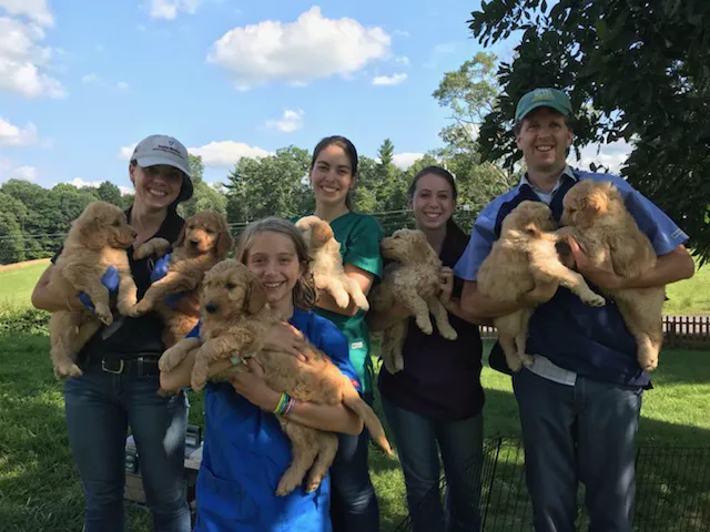 Green Valley Veterinary Services Picture 4