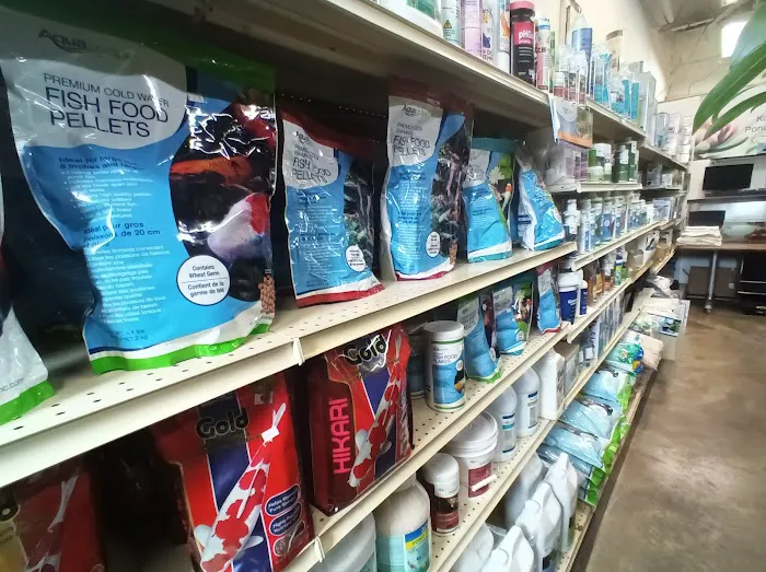 Koi and More Pond Shop Picture 9