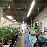 Koi and More Pond Shop ico