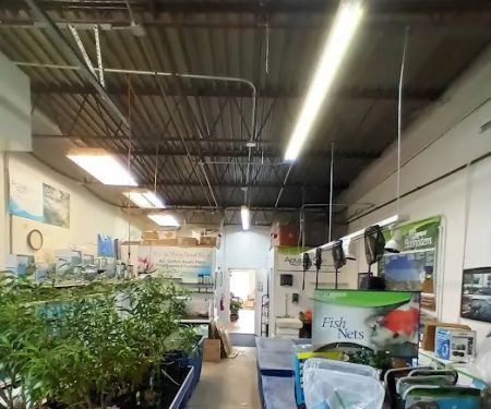 Koi and More Pond Shop
