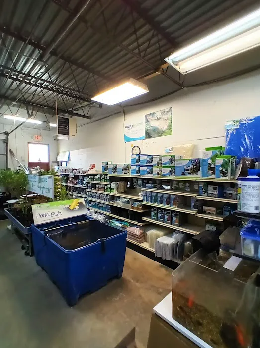 Koi and More Pond Shop Picture 6