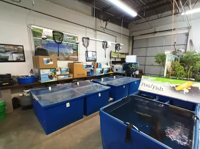 Koi and More Pond Shop Picture 5