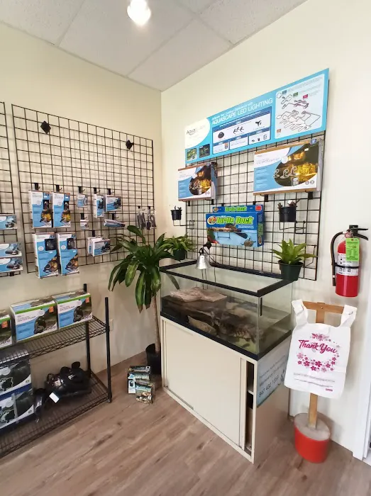 Koi and More Pond Shop Picture 8