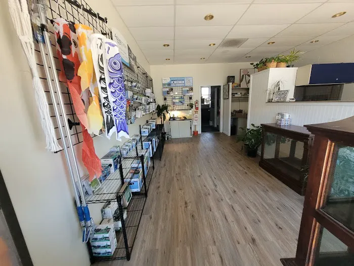 Koi and More Pond Shop Picture 3