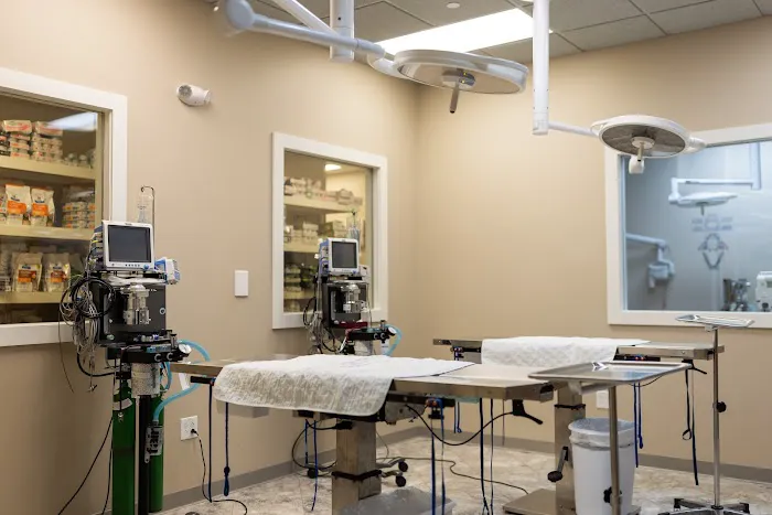 Fenton River Veterinary Hospital Picture 9