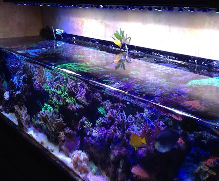 Sea Escapes Inc Picture 4