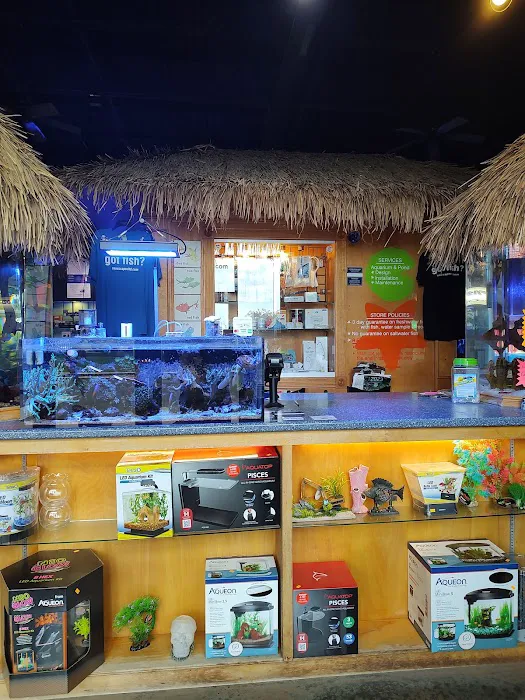 Sea Escapes Inc Picture 9