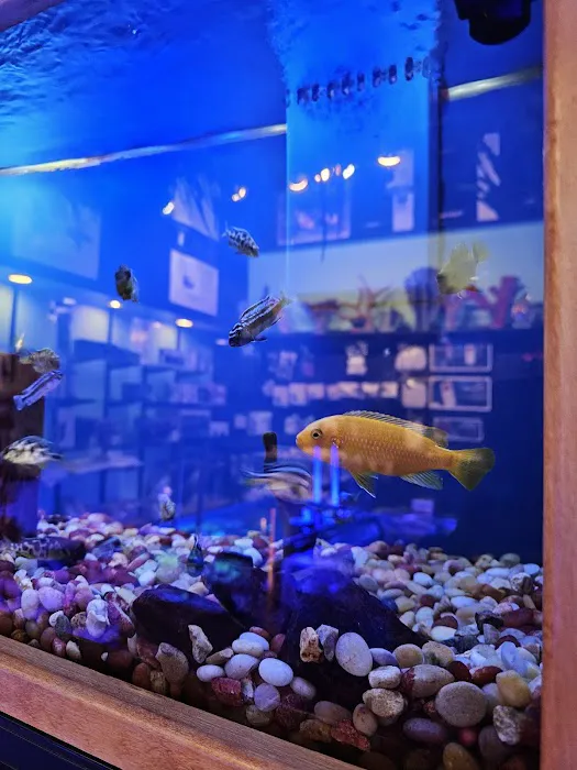Sea Escapes Inc Picture 7