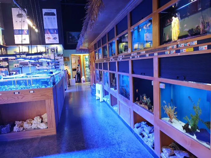 Sea Escapes Inc Picture 8