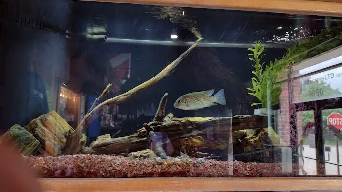Sea Escapes Inc Picture 1