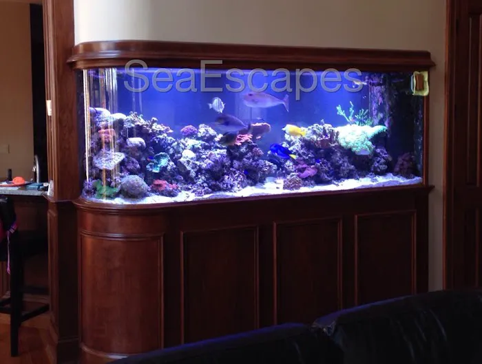 Sea Escapes Inc Picture 5