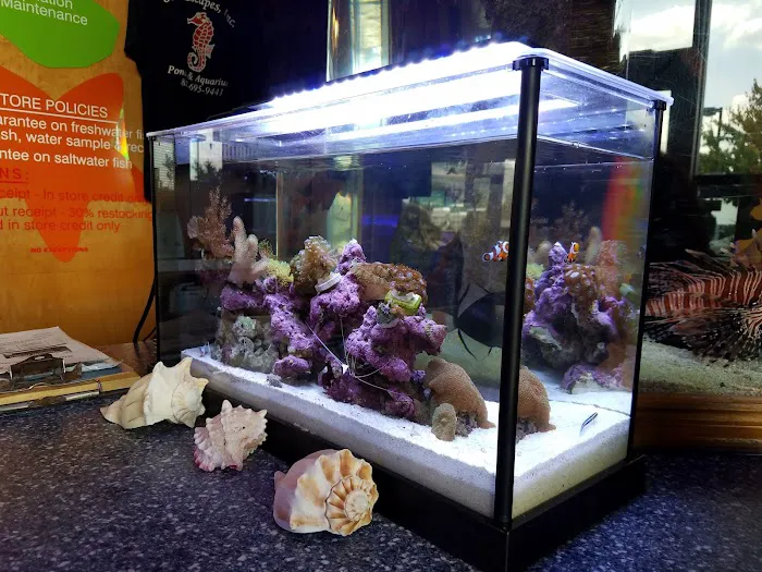 Sea Escapes Inc Picture 10