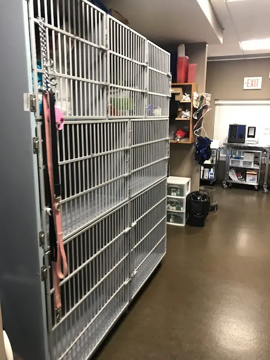 New London Veterinary Treatment Facility Picture 2