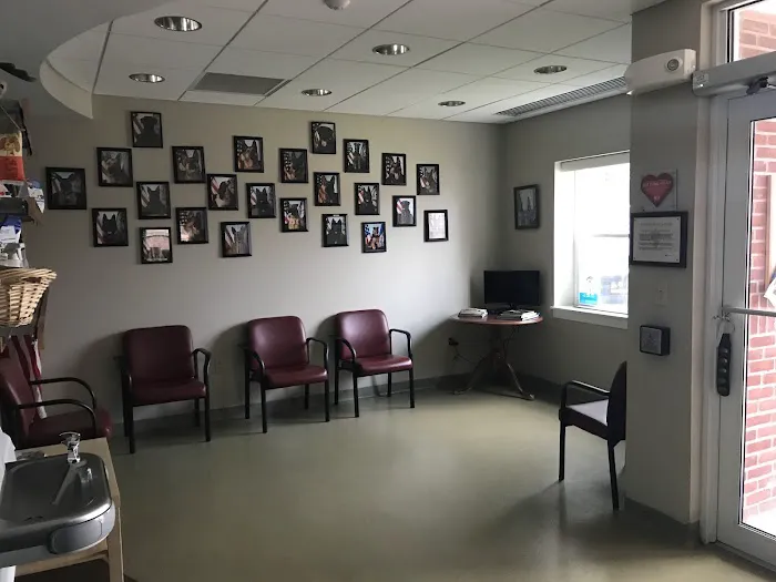 New London Veterinary Treatment Facility Picture 3