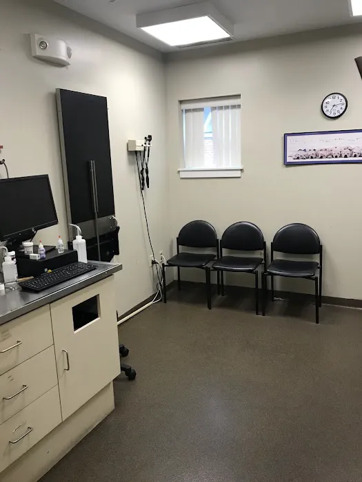New London Veterinary Treatment Facility Picture 1