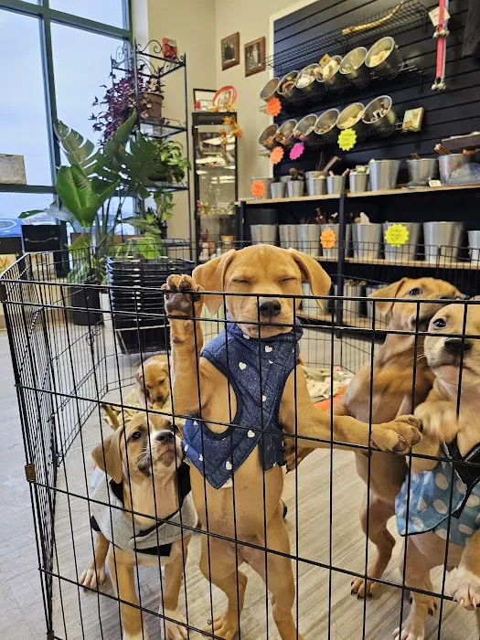 Critters Pet Shop Picture 6