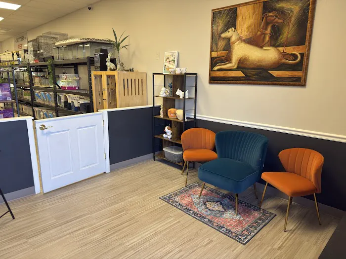 Critters Pet Shop Picture 7