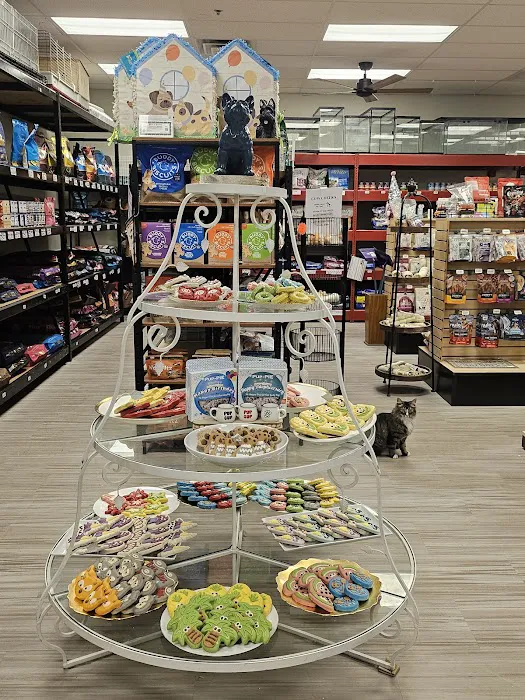 Critters Pet Shop Picture 10